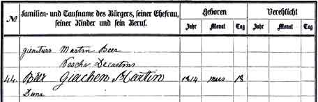 Birth Record for Jacob Beer