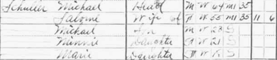 1910 census record